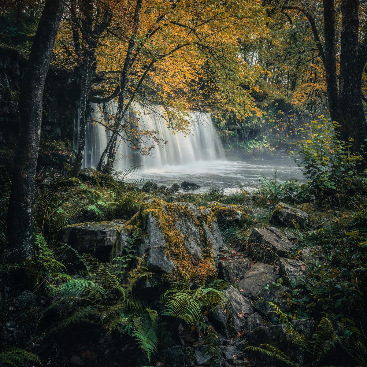 Itay Kaplan (@itkap1308) on Twitter photo Sgwd Ddwli Uchaf, Waterfalls Country Brecon Beacons
<a href="/ItsYourWales/">It's Your Wales</a> <a href="/BannauB/">Bannau Brycheiniog (Brecon Beacons) National Park</a> #waterfalls #BreconBeacons #Wales #nature #ThePhotoHour #AutumnVibes #Autumn #AutumnPhotography Sgwd Ddwli Uchaf, Waterfalls Country Brecon Beacons
<a href="/ItsYourWales/">It's Your Wales</a> <a href="/BannauB/">Bannau Brycheiniog (Brecon Beacons) National Park</a> #waterfalls #BreconBeacons #Wales #nature #ThePhotoHour #AutumnVibes #Autumn #AutumnPhotography