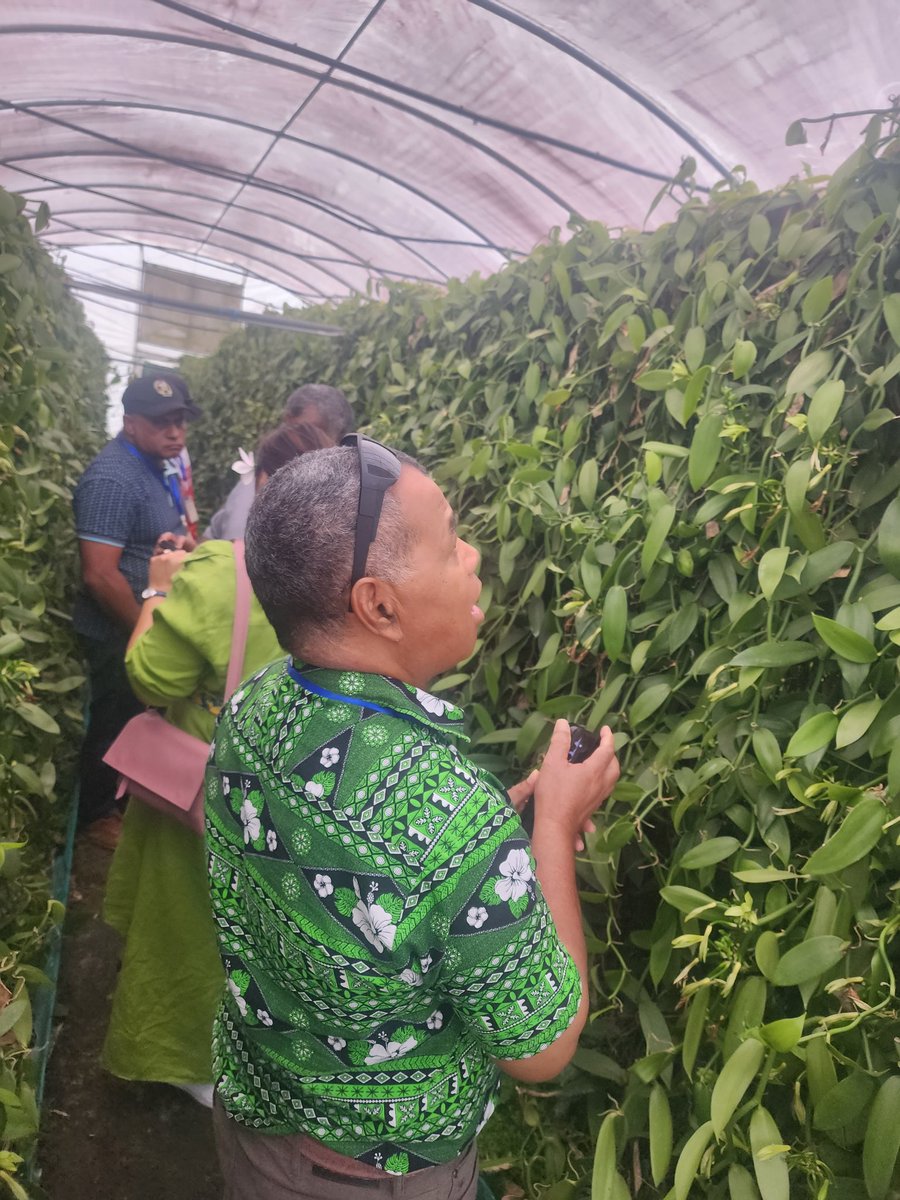 PacificAgriculture🌱 | Day 2 of the Pacific Agrifoods Cluster Tour!
13 Pacific delegates from govt and private sector as part of the tour this week at QLD, 🇦🇺visited Groundskeeper Willie, Warrior Restaurant at The Crocodile Hunter Lodge and Vanilla Vine Sunshine Coast #agrifoods