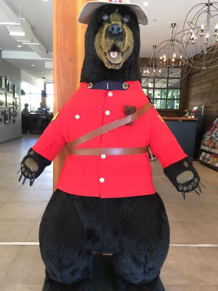 Today is #HugABearDay 🐻here’s Basil the bear showing that not all big, brown bears are scary, although he doesn’t recommend hugging real ones! 

-
 Catch up on past #stories here: outwithanimals.wordpress.com

#charity #children #story #storytime #storytelling #childrensstory