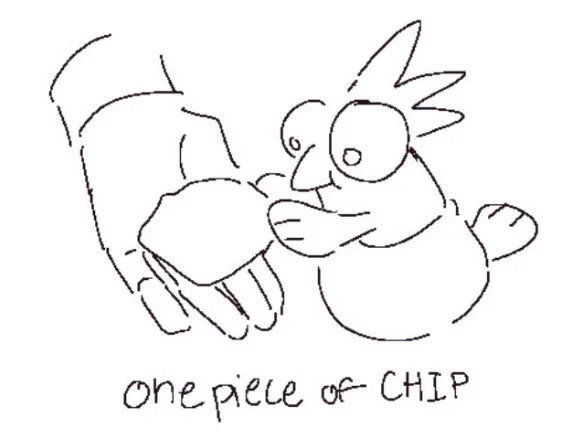 one piece of CHIP 