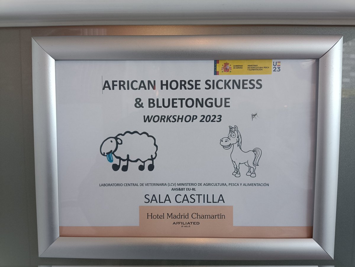 Today I will attend and give a talk about the current situation concerning BTV in the Netherlands for the European Reference laboratory for BTV &amp; AHSV in Madrid. #bluetongue #blauwtong #BTV3