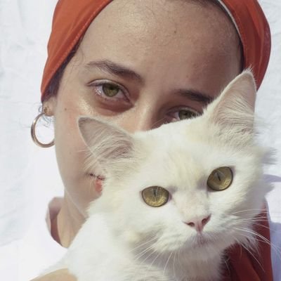 fernanda tweet media