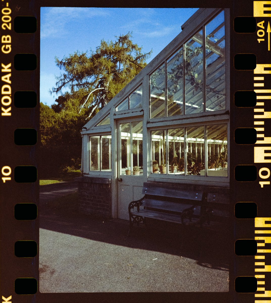 matteobernardis's tweet photo. dublin botanic gardens

📸 #olympusmjuii
🎞️ #kodakgold200
.
.
.
#kodakprofessional #kodakmoments #kodakgold200 #35mmfilm #filmisnotdead #filmwave #shootitwithfilm #filmcommunity #shotonfilm #shootfilm #filmphotographer #thefilmcommunity #filmphotography #negativelabpro https://t.co/kepUbx3EDc