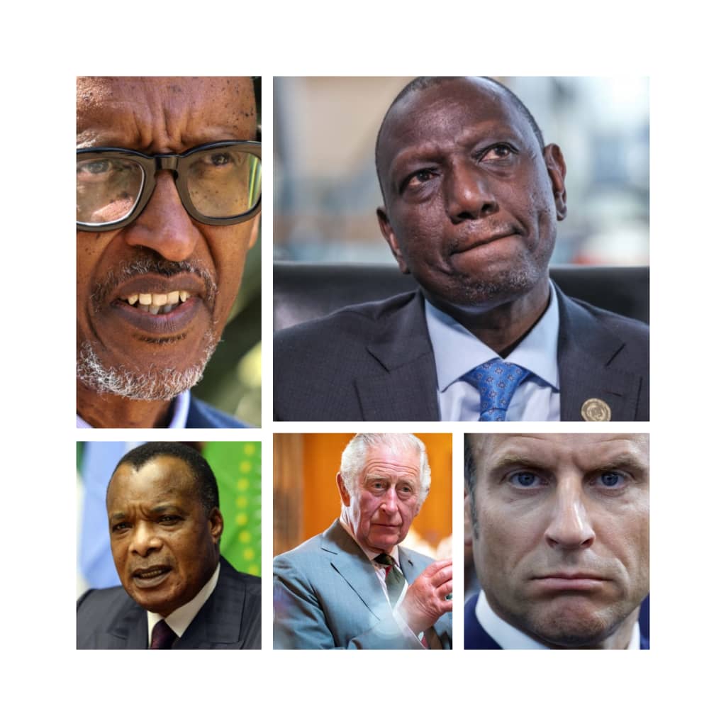 freddy nkuenyi tweet media