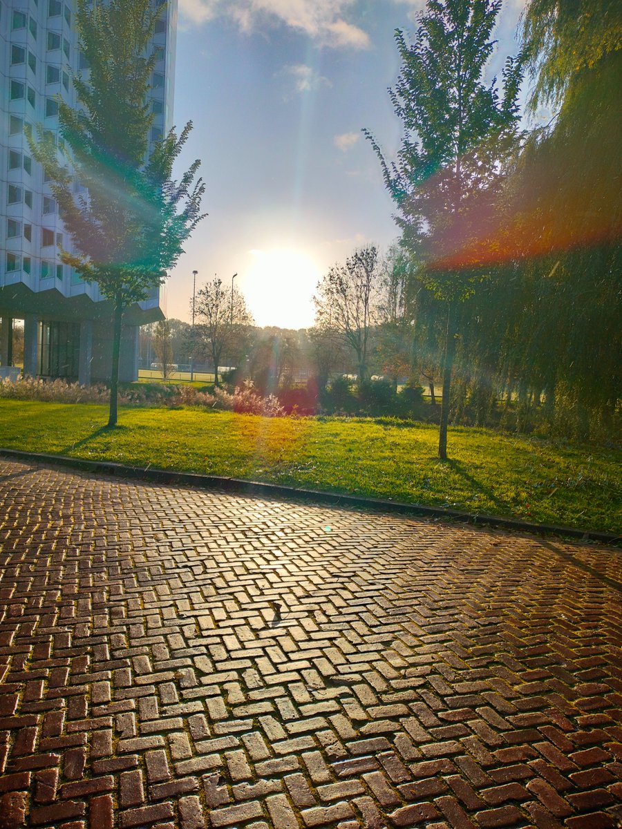 hcomp_conf's tweet image. 🌟 Day 2 at #HCOMP2023 and #CI2023: The convergence of great minds and researchers in the human computation and collective intelligence field continues. Get ready for another day of inspiring discussions and groundbreaking insights! 🧠🚀