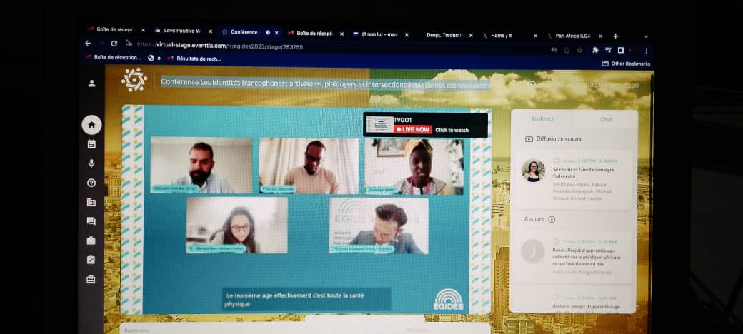 EGIDES Conference online;
Day 01: Francophone identities: artivism, advocacy and the intersectionality of our communities @EgidesAlliance @_ARASAcomms @AfricaSexWork @FJS @HIVJusticeNet @eji_org @PNMLS_RDC