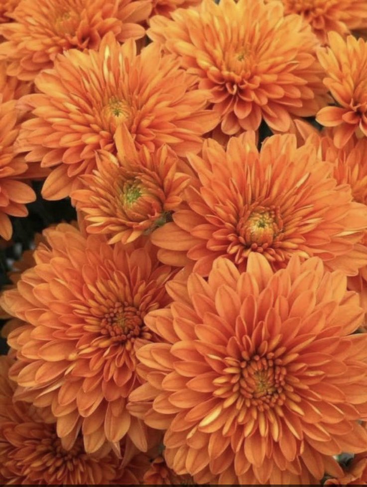 .
Lösemi 🧡 değil, iyilik bulaşıcıdır 💕

#LösemiÇocuklarHaftası 🧡
#BizKazanacağızLÖSEV 🧡
#losev1998 🧡
#losente 🧡