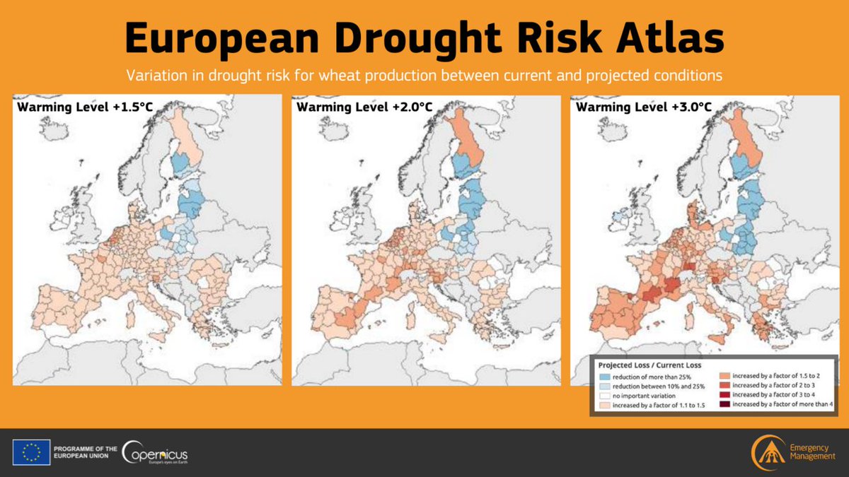CopernicusEMS's tweet photo. According to our European #Drought Risk Atlas, 🚱drought-related #wheat yield losses may increase because of rising temperatures❗️
➡️#France🇫🇷, #Germany 🇩🇪, and #Spain 🇪🇸 are projected to be among the most affected countries in the 🇪🇺
Read more👇
https://t.co/DTEcNV00Hp https://t.co/eIRleIL9ND