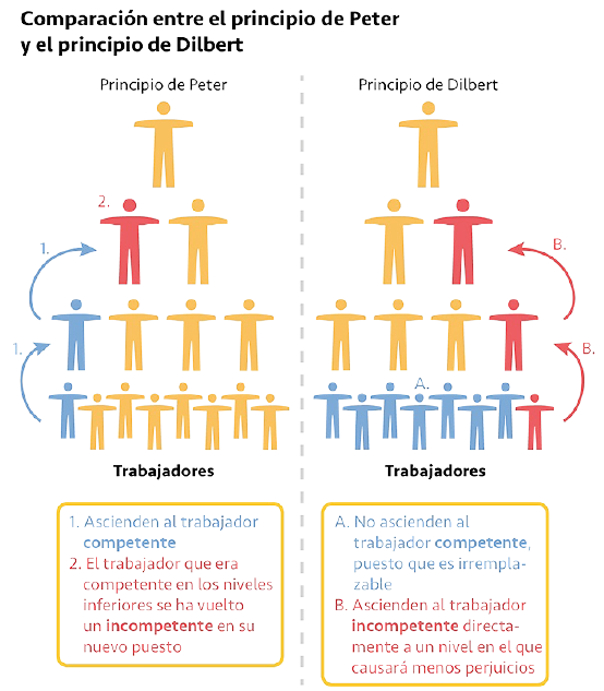 El psicólogo Laurence Peter y su Principio de Peter si un empleado es eficiente en un  nivel lo ascenderán a uno superior hasta su ineficiencia

El principio de Dilbert dice que a los empleados irremplazables no se les promociona

El impacto es el mismo no se promociona al mejor