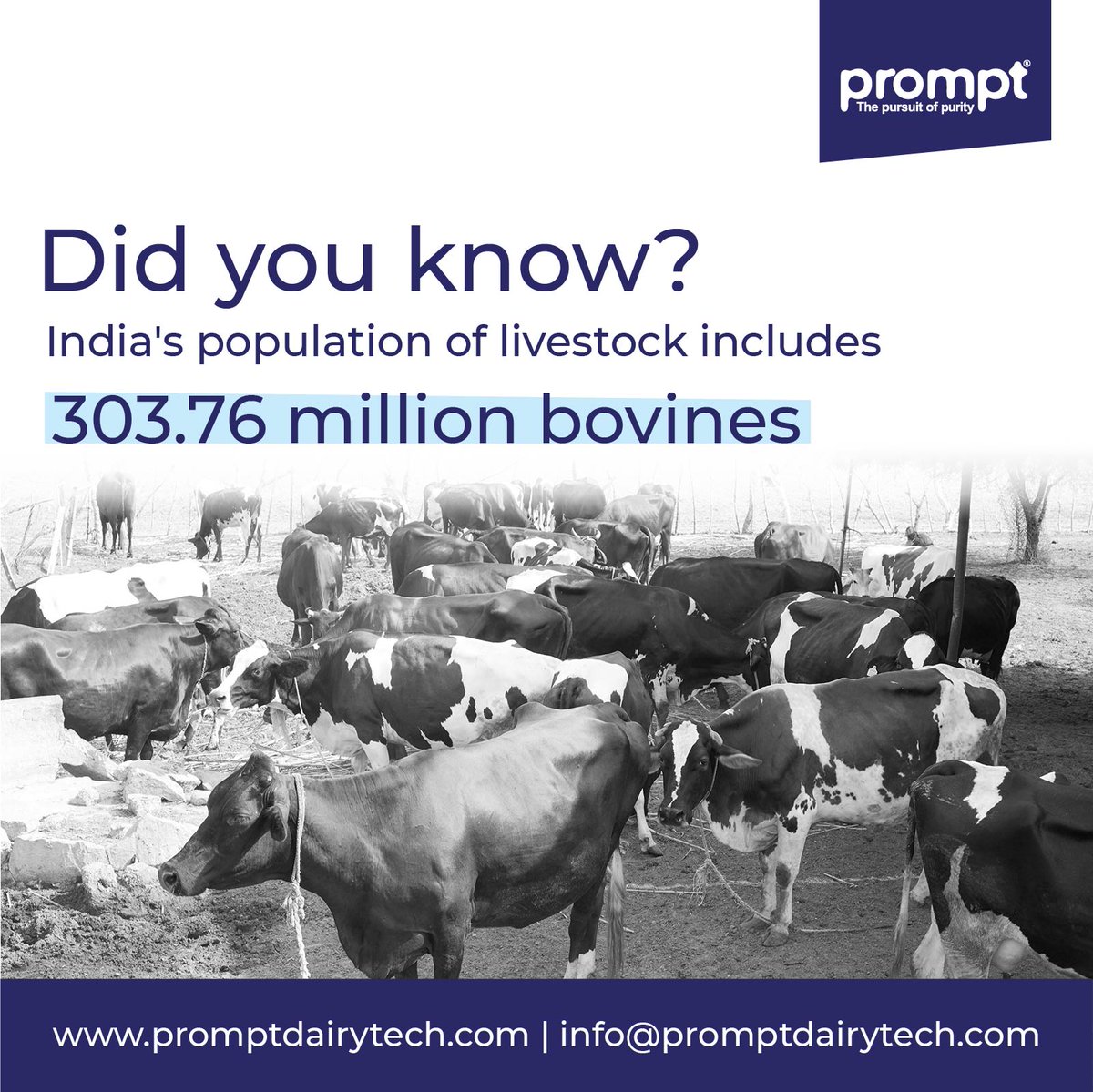 Did you know that we are home to a staggering 303.76 million bovines? These magnificent creatures are not just numbers; but the backbone of our dairy farming industry.
Stay tuned for more such facts.

#prompt #dairy #tech #dairytechnology #technology #milk #bovine #dairyfarming