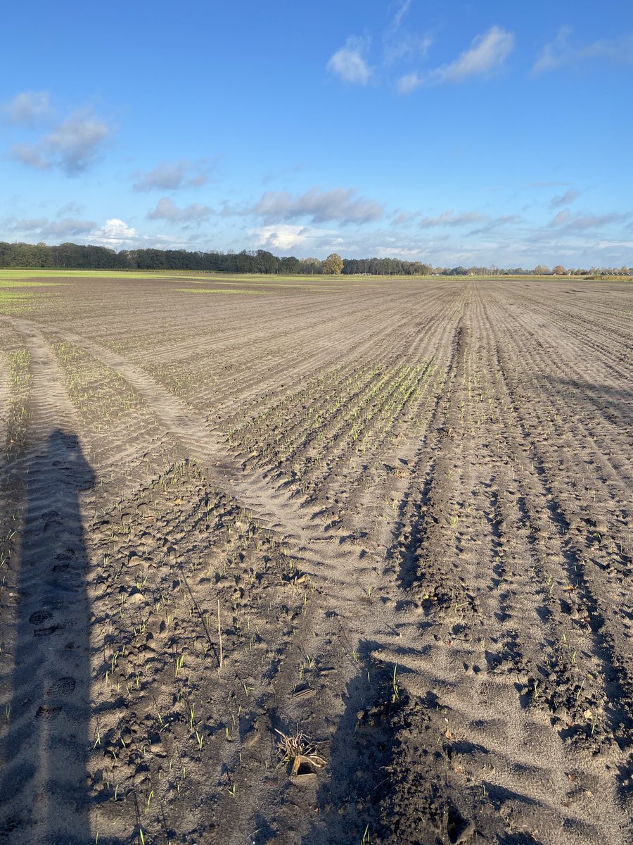 jan Theuws tweet media