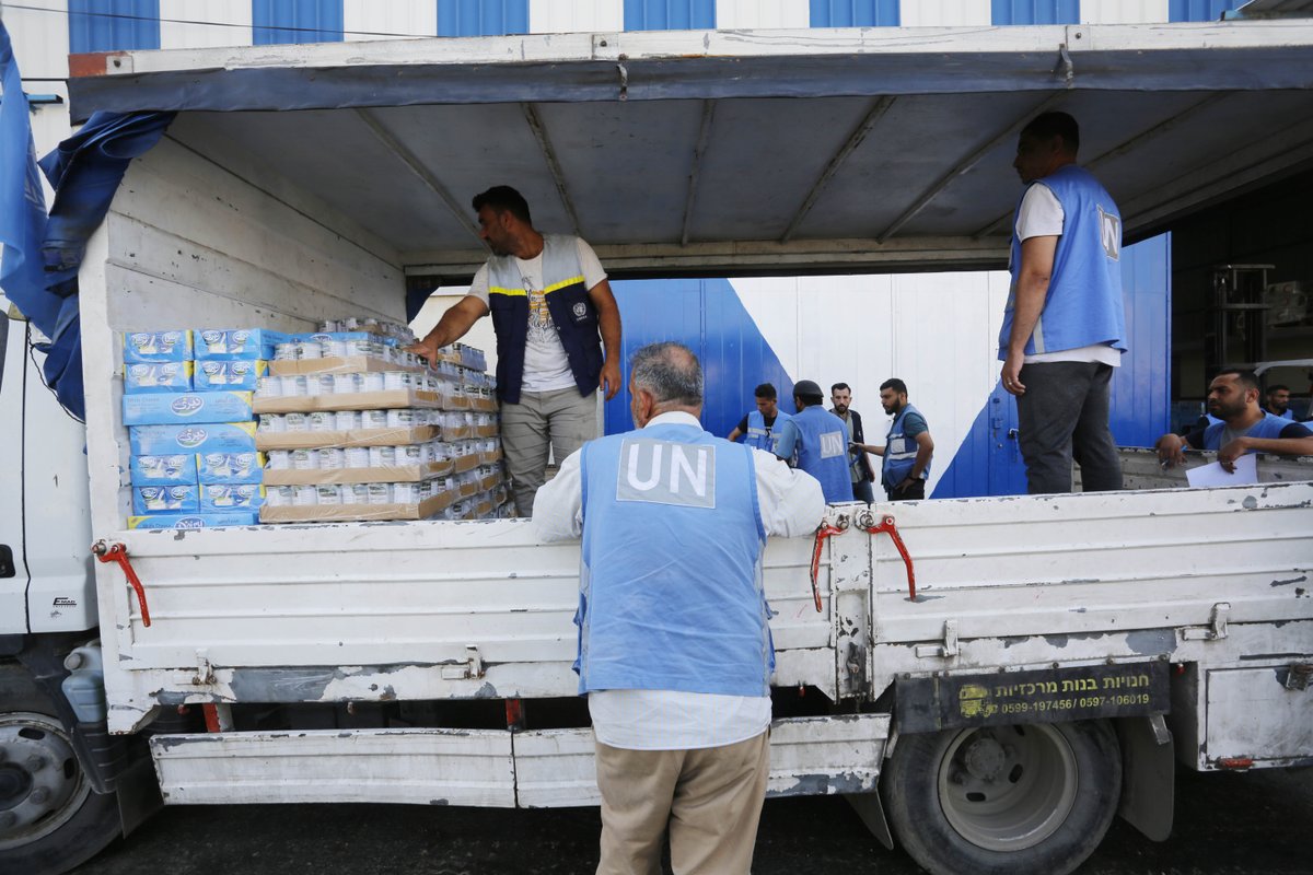 UNRWAes's tweet image. #GAZA

Con el corazón en un puño informamos del asesinato de 88 compañeros y compañeras de UNRWA desde el 7 de octubre, incluidos cinco compañeros en las últimas 24 horas.

El dolor es inmenso.

#CivilesGazaNoSonObjetivo