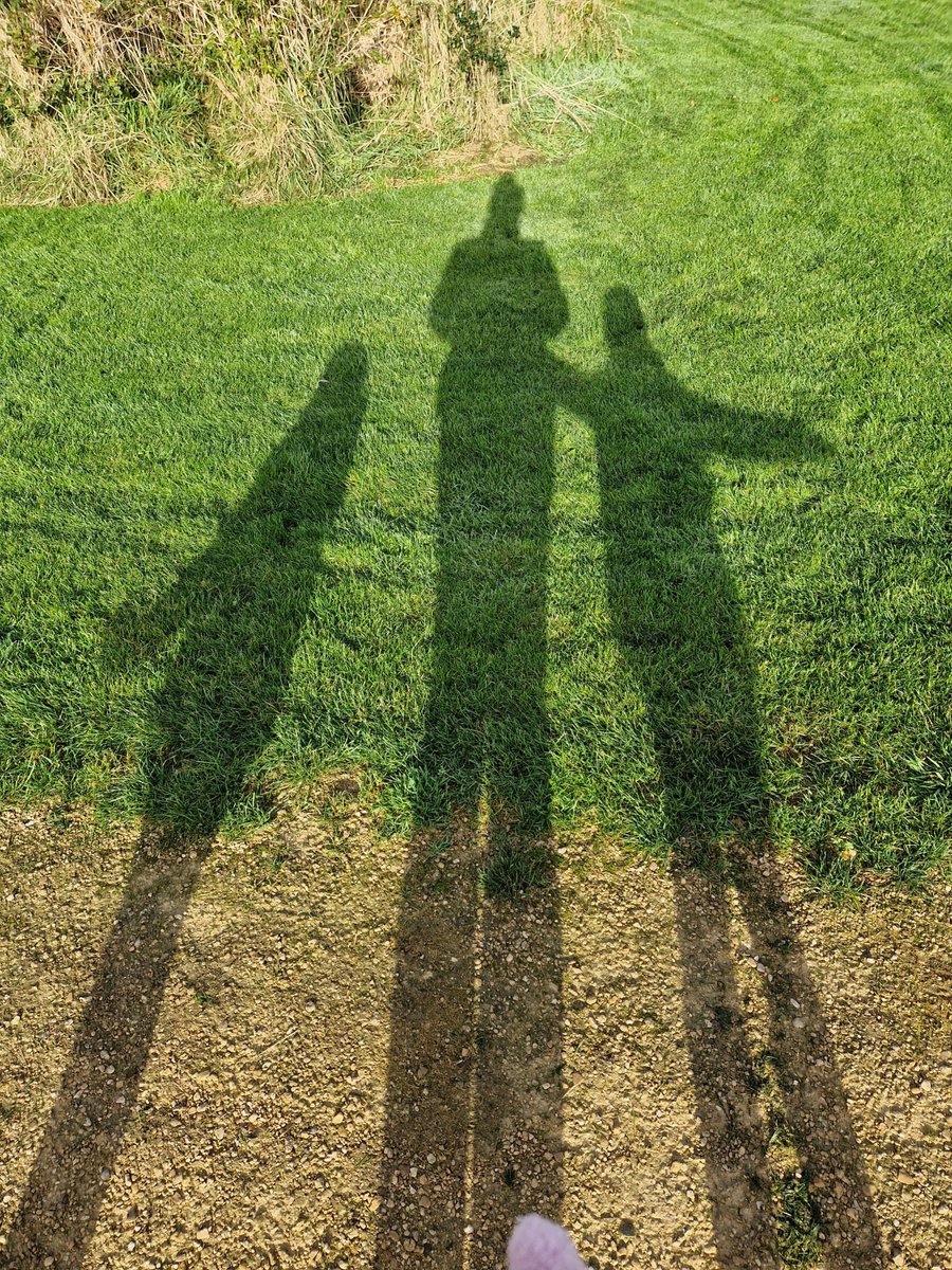 tracyhodge2's tweet photo. A perfect day to take my little ones for a fabby 2mile walk to our bridge &amp; back across the wildflower meadow -they love this walk! #ukrunchat #walking #EyTagTeam #earlyyears #forestchildminding #learning ❤️❤️ https://t.co/mZ1IlMur5k