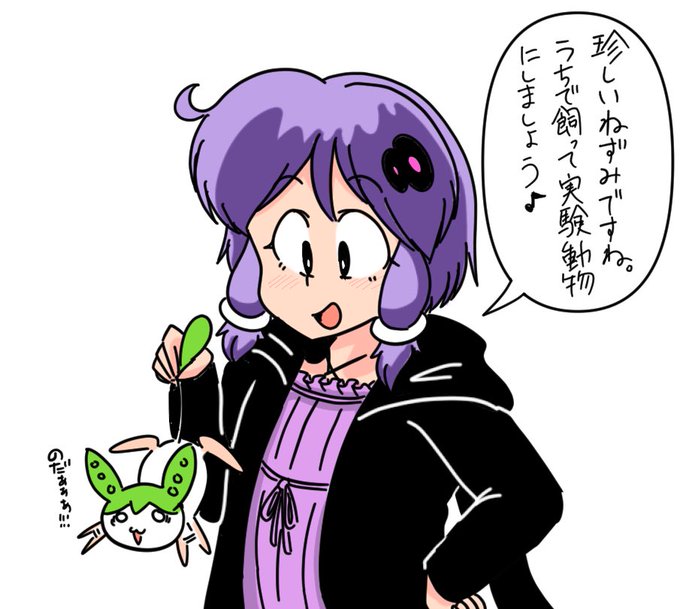 ゆかりさんとずんだもん 