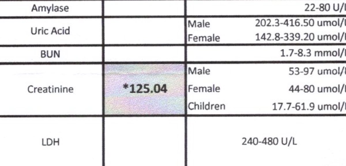 LoneWolf+ tweet media