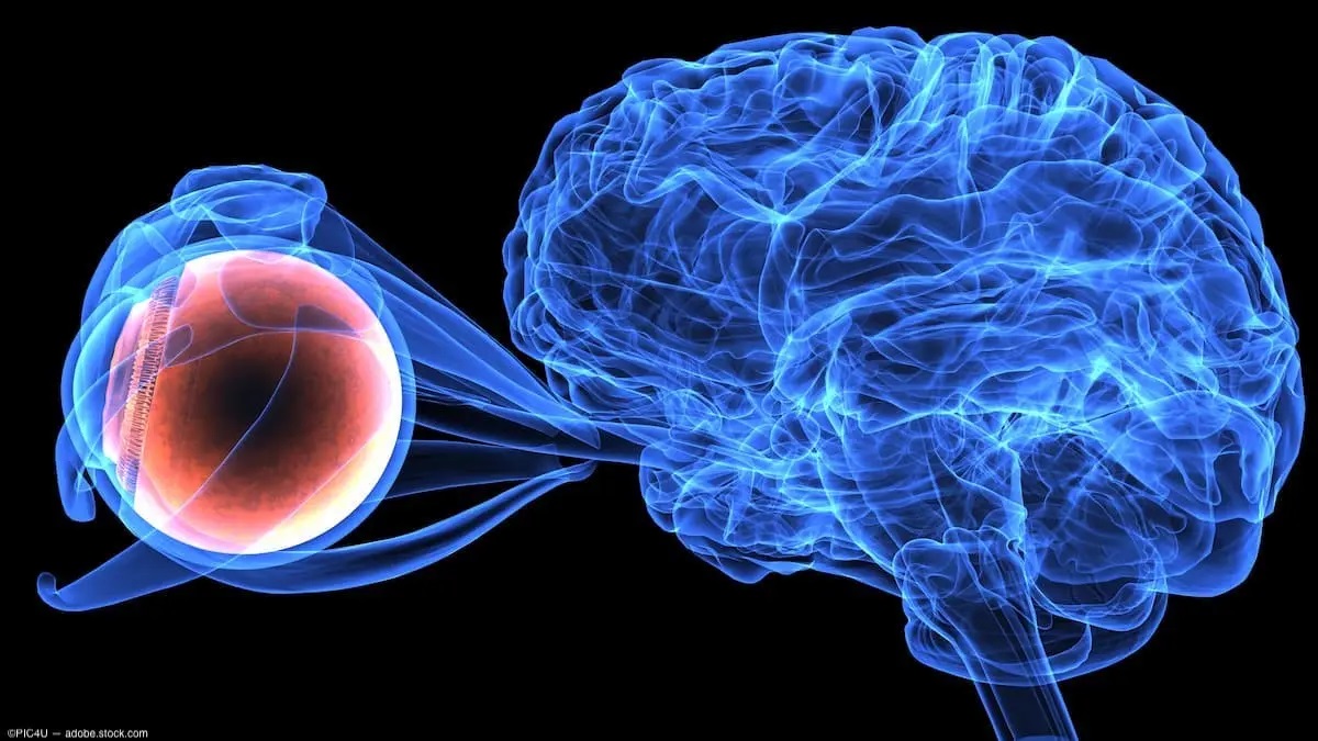 Canal_Retina's tweet photo. Determinan por primera vez la edad molecular del ojo

Un estudio demuestra que “nuestros órganos envejecen a diferentes ritmos", que el envejecimiento podría ser específico de un órgano o incluso de una célula, lo que podría conducir a mejoras en ...

https://t.co/ljZlU2fLoo https://t.co/0eMJCxLQ3s