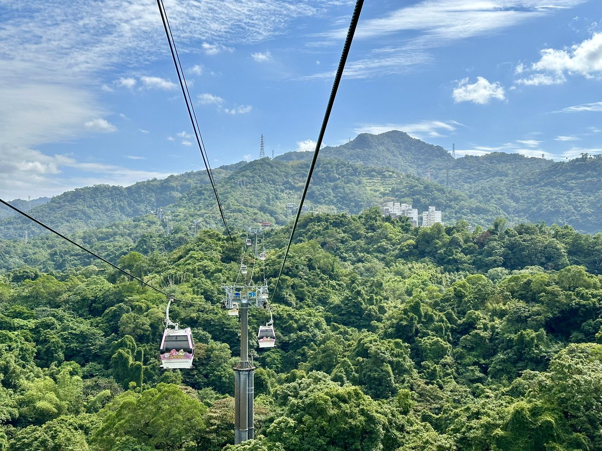 Emma Collins tweet media