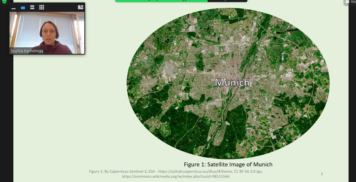 Terrestrial Ecology tweet media