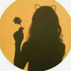 Sugjjsha tweet media