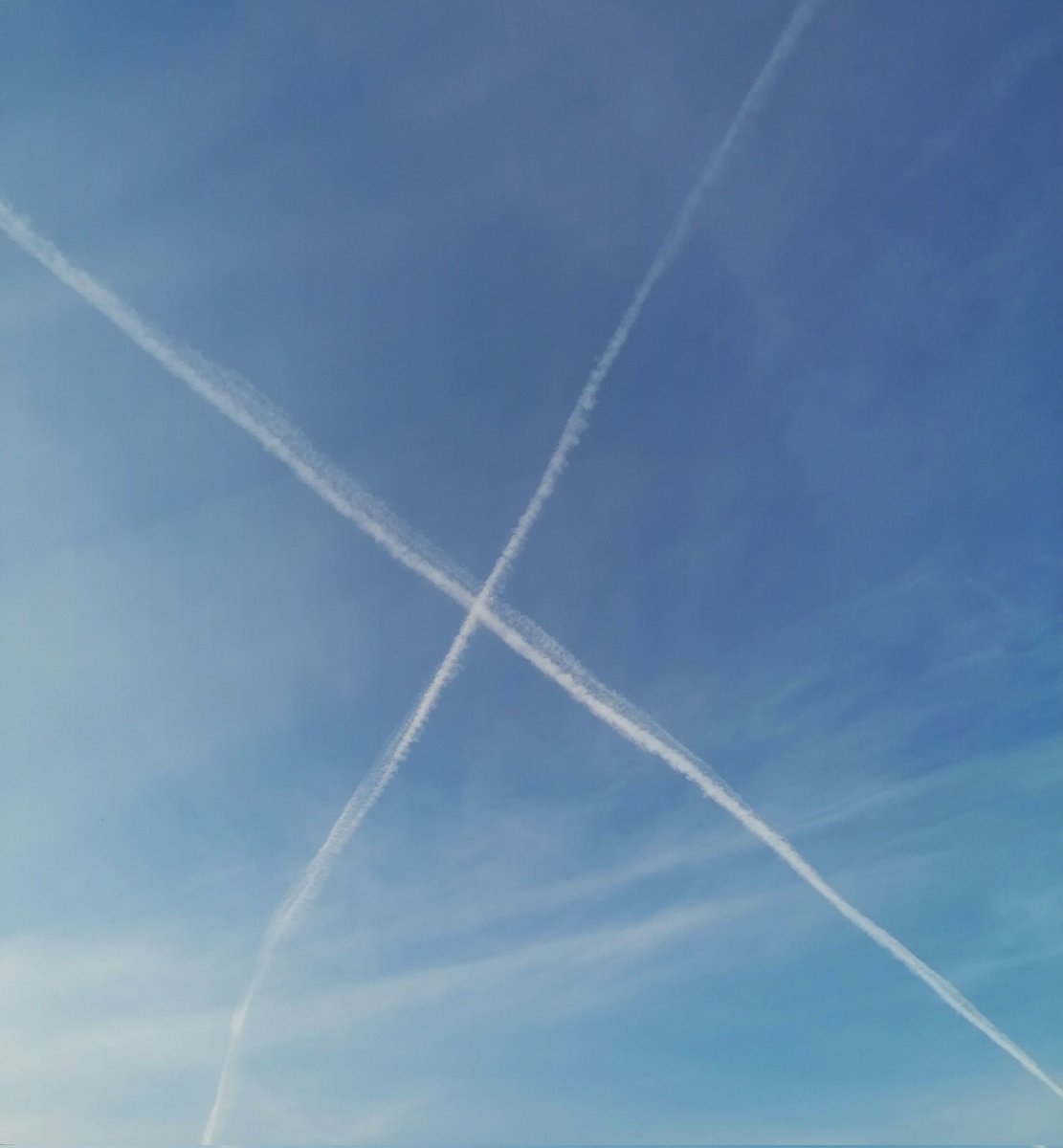 Thomas_TMMS's tweet photo. About to fly to Istanbul and attend #BinanceBlockchainWeek
Looking forward to seeing you all and meeting the @trondao team again.
#FlyingInStyle https://t.co/RZIgPvYsSk