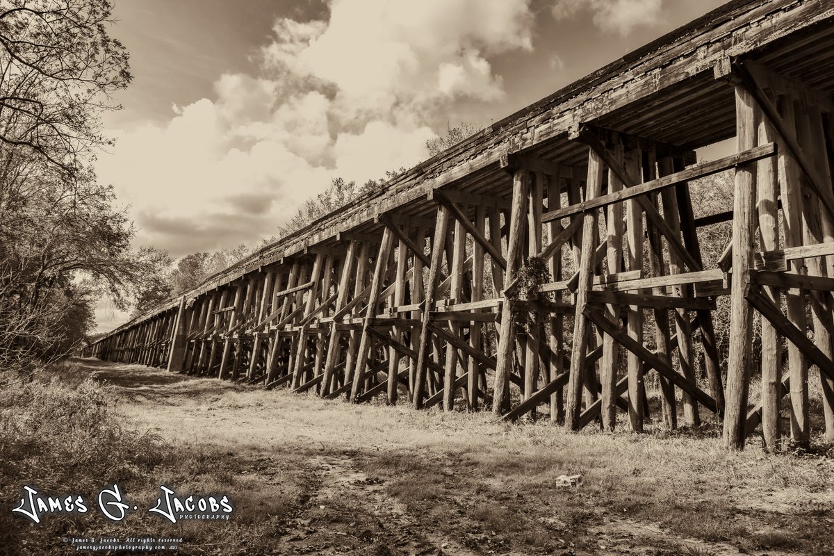 JmsGJacobsPhoto's tweet photo. This old train trestle is down south of Palestine, Texas. It is part of the Union Pacific Railway that is still in use. The Trinity River is also about a quarter of a mile on down the track. I missed getting a shot of the train crossing it by about 5 min. Maybe next time! https://t.co/hBg2D4Ao6x