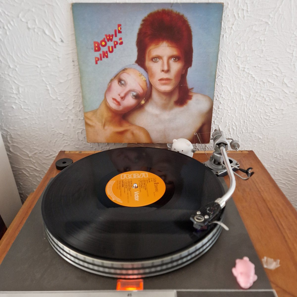 Brighter Day Record Shop tweet media