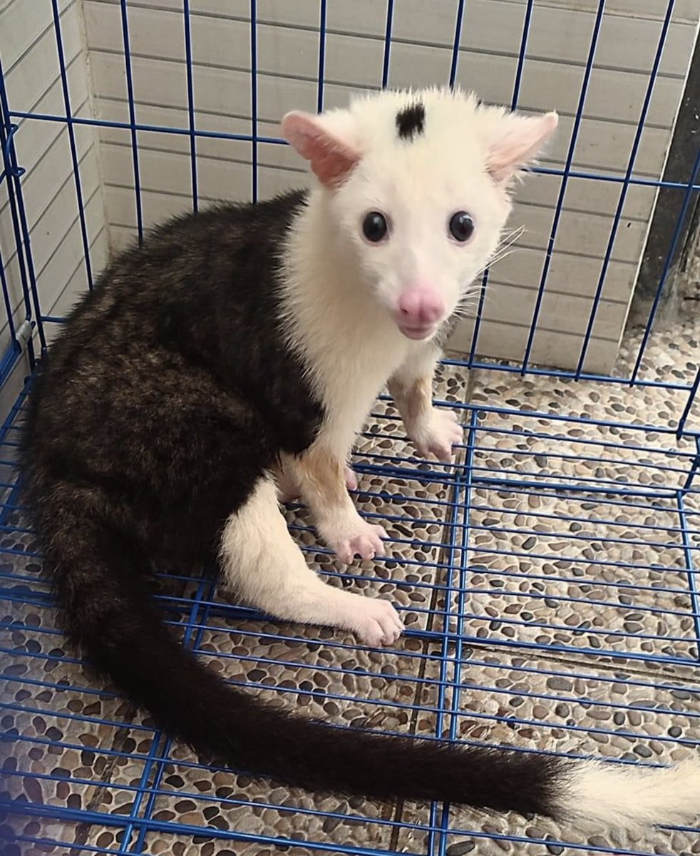 Kamu merasa dirimu minus , tapi orang lain melihat sisi indahnya dan punya nilai tawar .  Kadang tidak sadar dan datanglah maklar