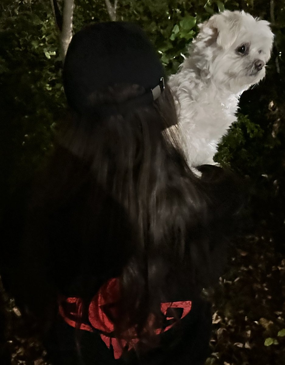 BadBoyHalo tweet media