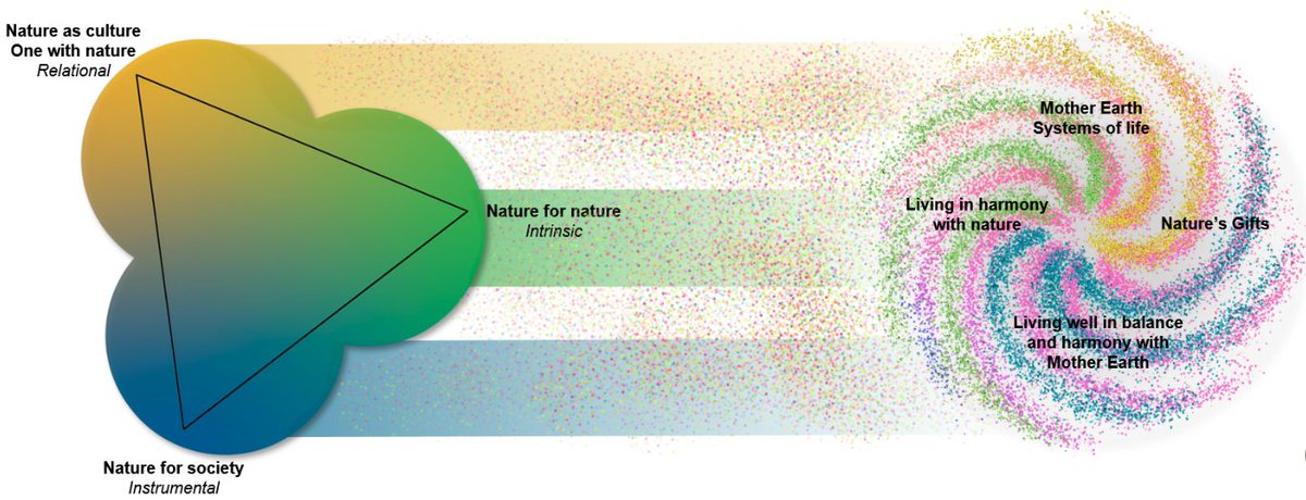 Value is a mental model according to which people, societies, and organizations regulate their behaviors. They are critical in shaping human attitudes and actions toward nature. They determine the desirable futures for people and nature.
@mas5050 @unige_ise @IPBES