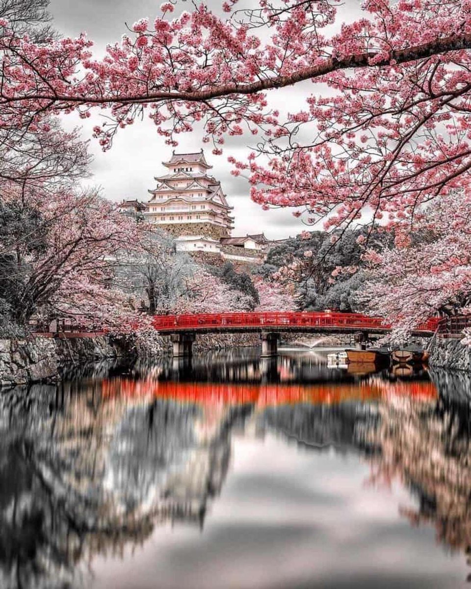 Niceworld247's tweet photo. Himeji Castle-Japan was recognized by UNESCO as a world(cultural) heritage in1993.

#beautifulview #nature #เบียร์เดอะวอยซ์ #템페스트 #Miusic $tip @tipcoineth #AppleLive #japan #UNESCO #AppleEvent #BTC #ETH $ETH #CRYPTO #iPhone15 #CHEO #cheouytin #AppleEvent2023  #PiNetwork https://t.co/o8y0maGHfu