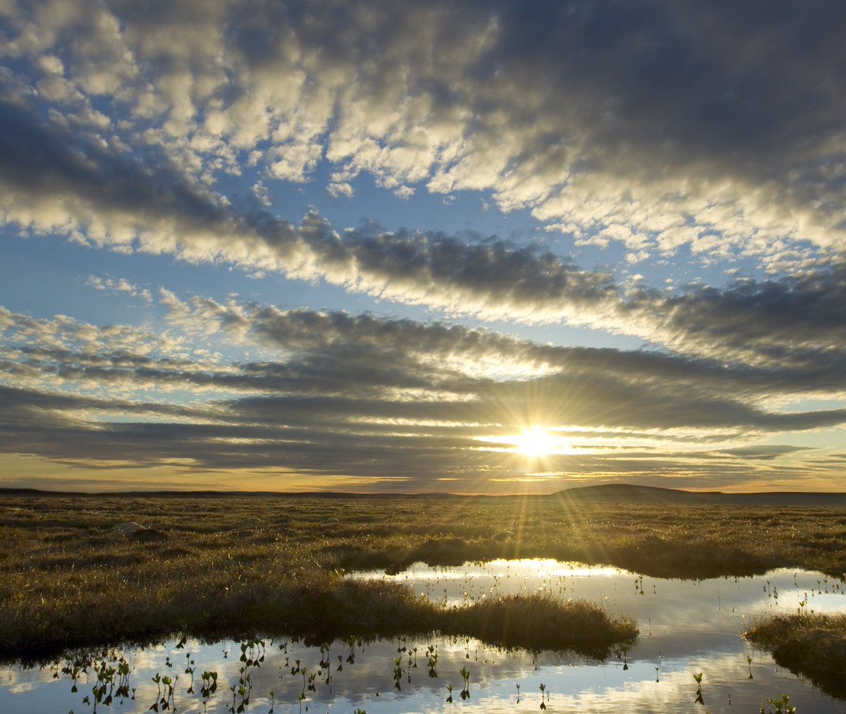 A year ago, @GOVUK confirmed that it would ban the sale of peat compost to “protect England’s precious peatlands”. It committed to doing this by 2024. [1/4]