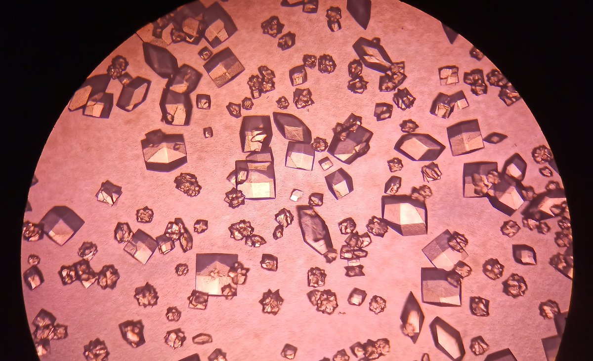 neeleshnandan's tweet photo. Effect of nucleation...
#research #Crystal #crystallization #chemicalengineering #cpdl #Microscopy https://t.co/bpZnzOKXNJ