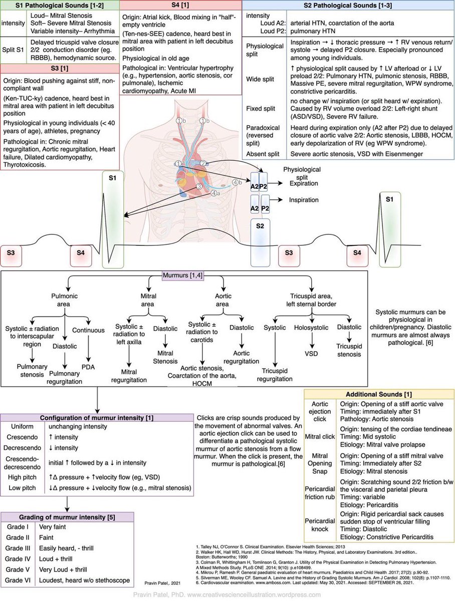 UjjwalRastogiMD's tweet image. Amazing infographic on cardiac auscultation from @pravin_patel26 

#CardioTwitter #MedTwitter #auscultation