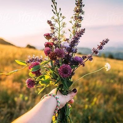 edmilson tweet media