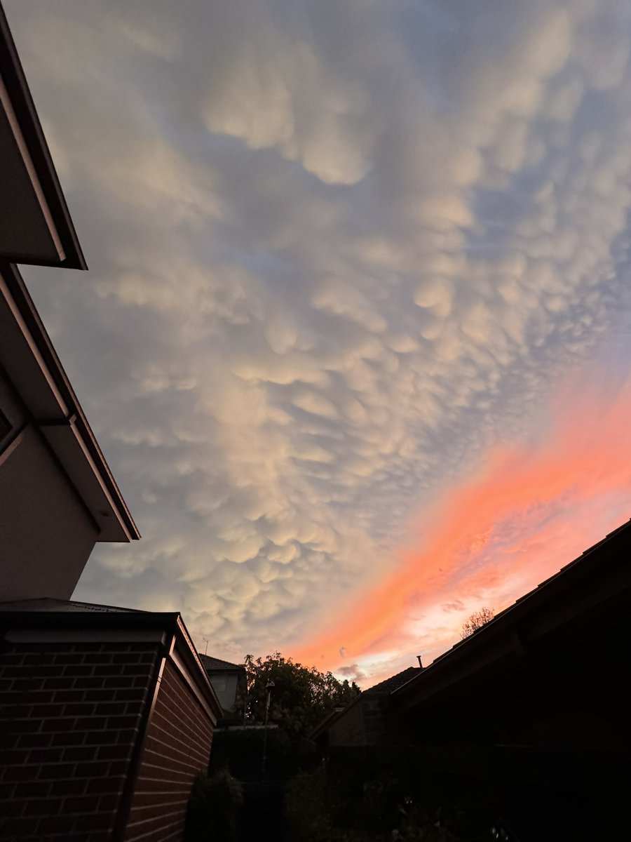 Andy Prata tweet media