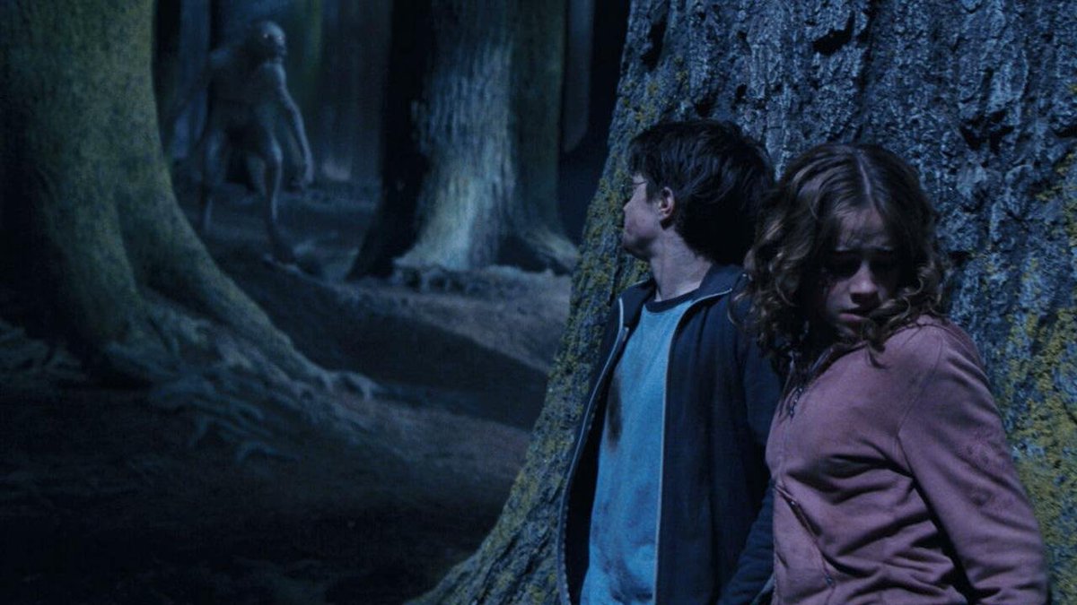 Le film "Harry Potter et le Prisonnier d'Azkaban" sera diffusé ce soir sur TF1.🪄