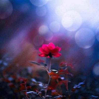 betrayedandtired. tweet media