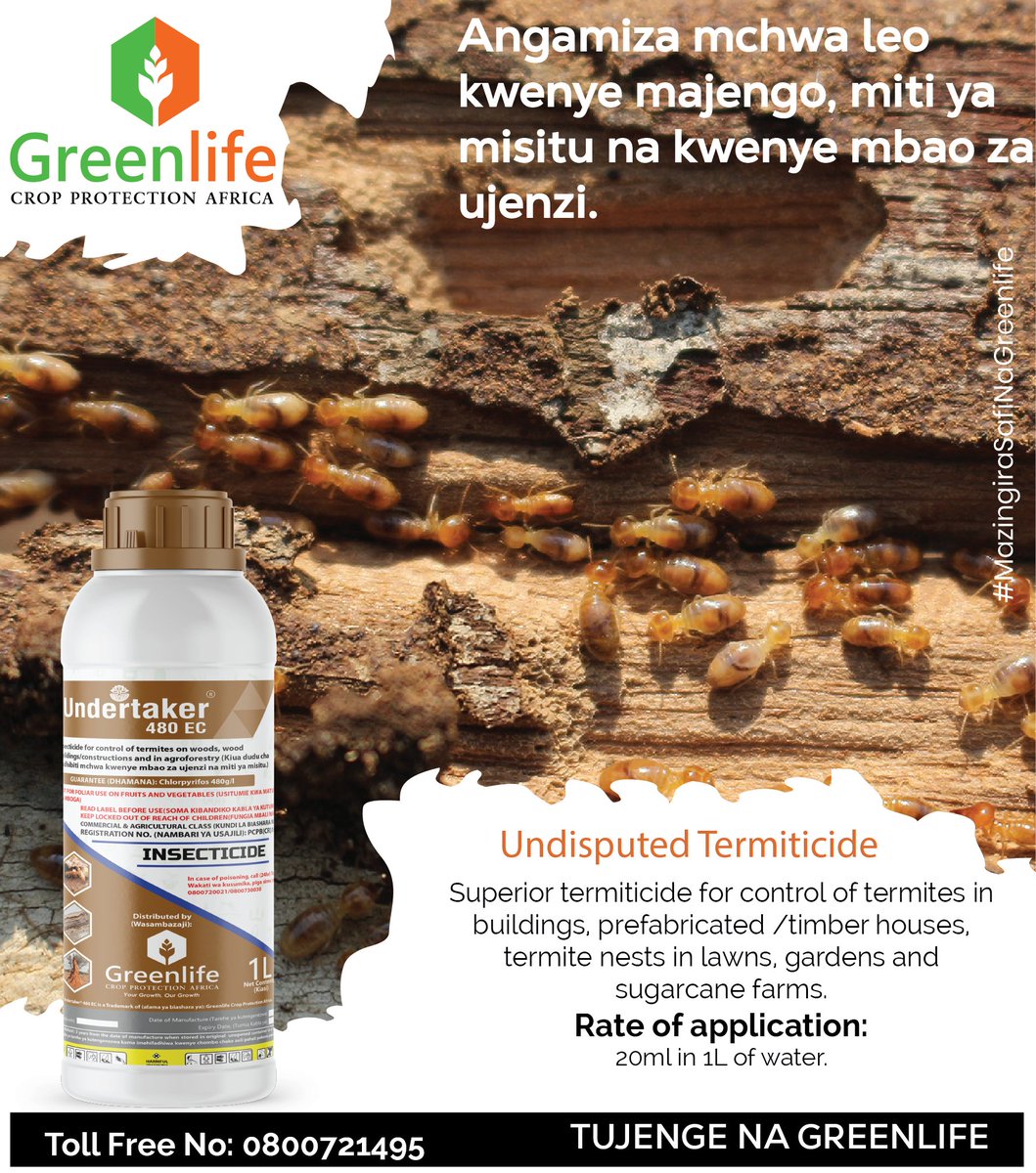 Will My Home Insurance Cover Termite Damage? UNDERTAKER 480 EC is the INSURANCE that you need. Apply at the rate of 20ml in 1L of water for 100% protection. Call us free at 0800721495 to purchase #MazingiraSafiNaGreenlife #YourGrowthOurGrowth