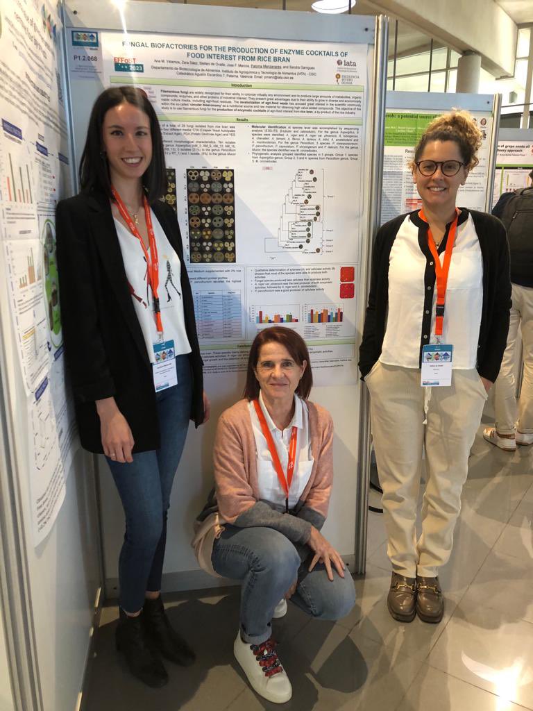 Today we are presenting results from #Biovalrice  <a href="/agroalnext_GVA/">AGROALNEXT_GVA PPCC Agroalimentación</a>  at <a href="/EFFoST/">EFFoST</a> Congress Valencia 
<a href="/FungalFact/">FungalFact</a>