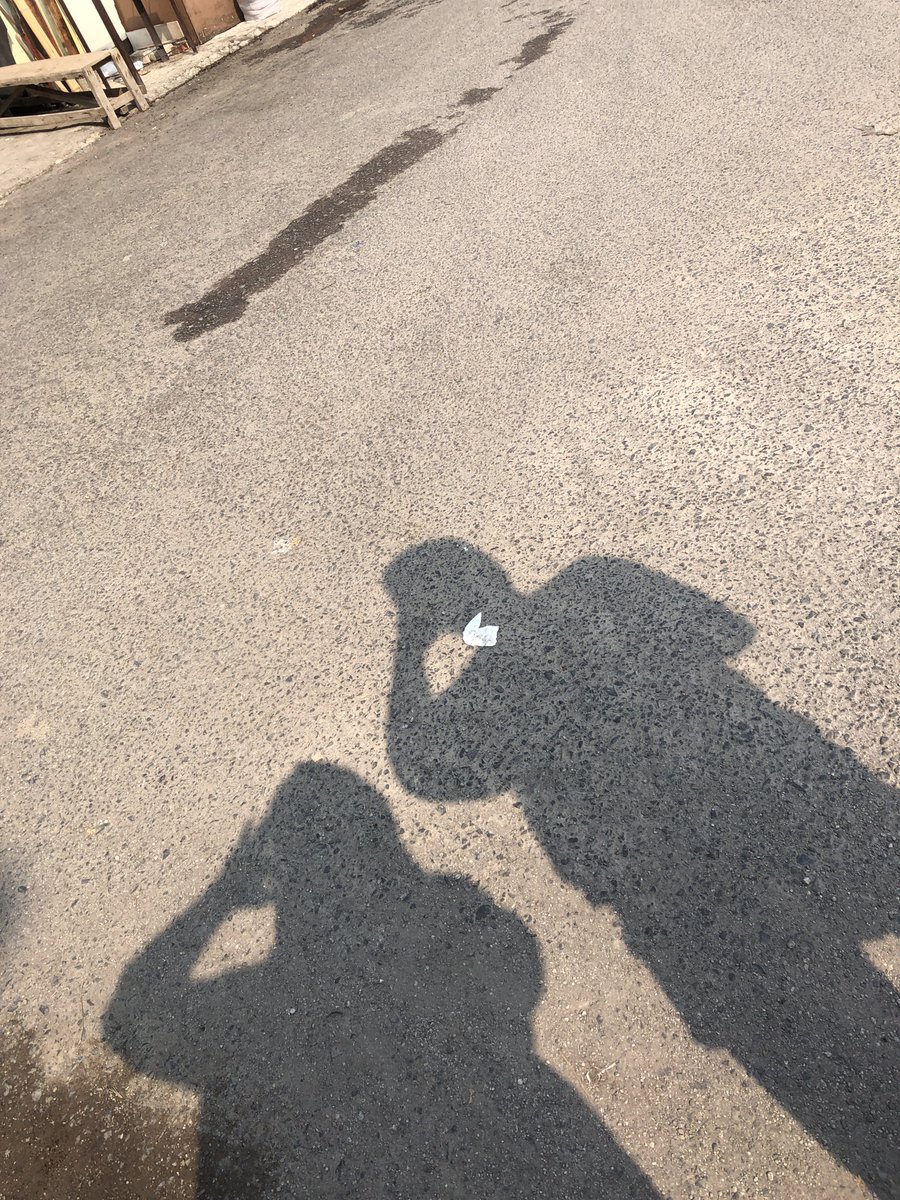 Rosie tweet media