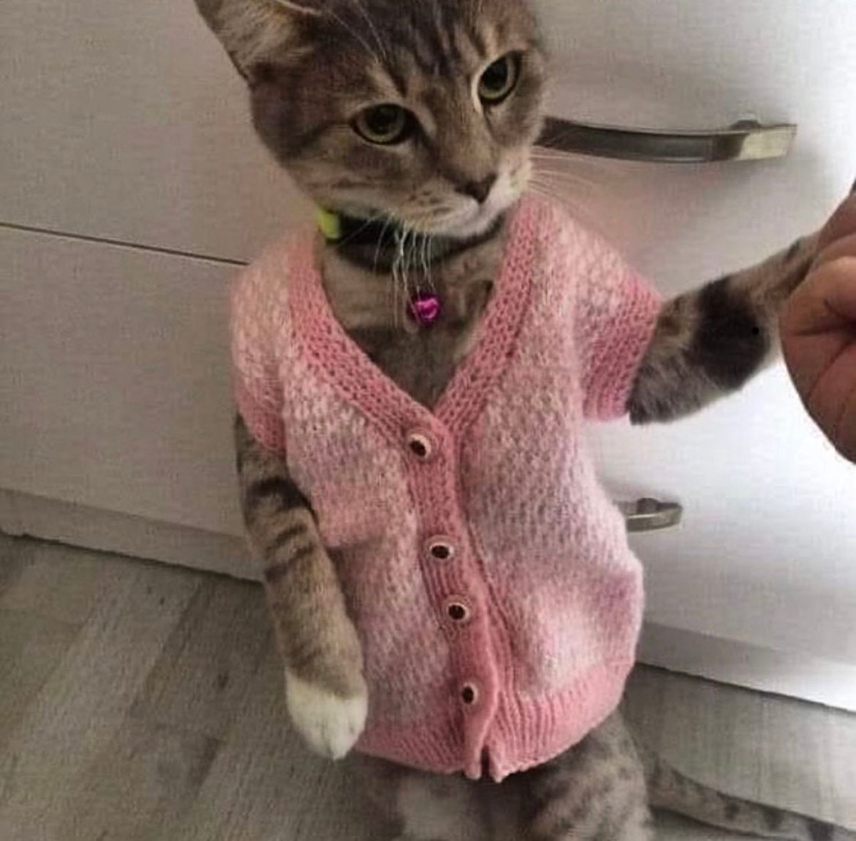 her sweater vest 🥺