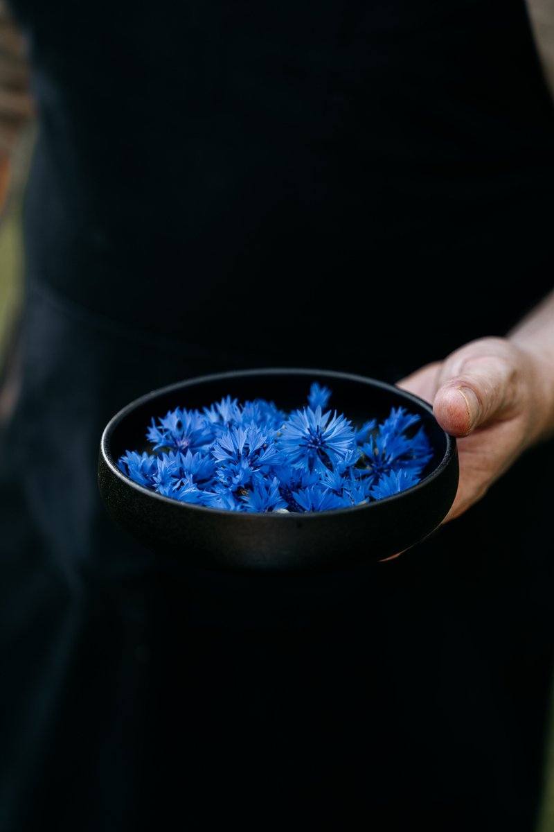 Fresh from the garden. 

We pick wildflowers from our own garden under the radiant morning sun and let their colours and aromas shine in our kitchen.