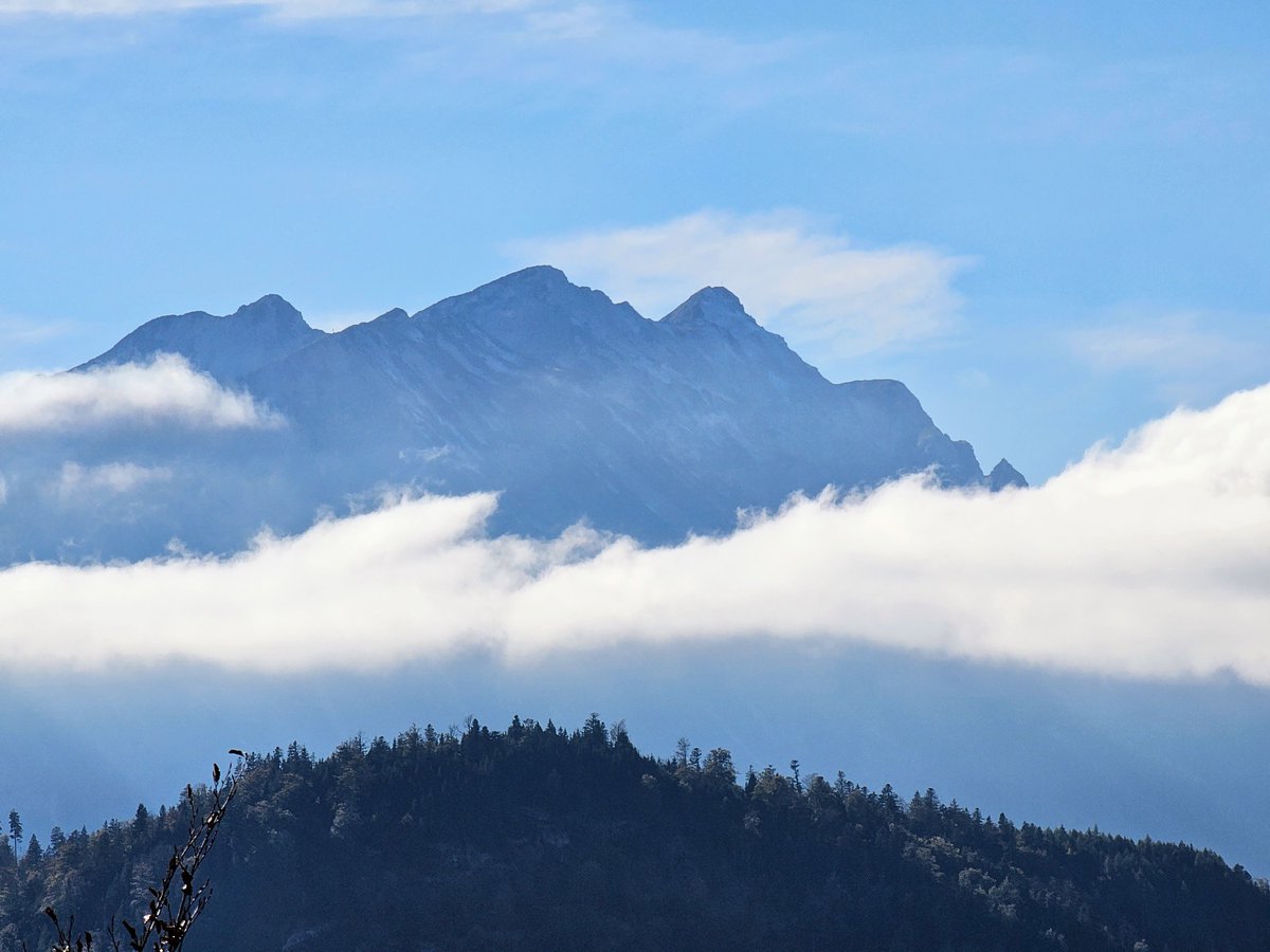 DorothyOstra's tweet photo. View of the surrounding area from Neuschwanstein Castle, Bavaria 🇩🇪 #fotoshot #photooftheday #picoftheday #nofilter #travelphotography #landscapephotography #Alps #NaturalBeauty #NaturePhotography #mountains #ThePhotoHour https://t.co/uM301c91Km