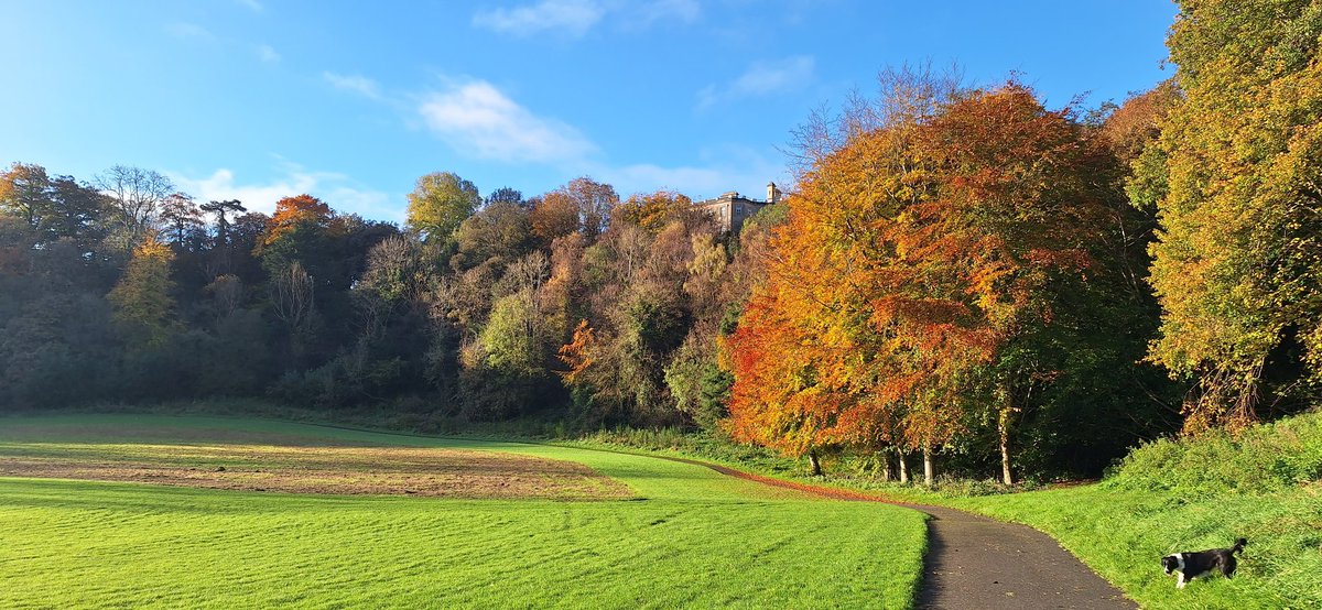 wlhaydock's tweet photo. All things autumn 🍂 🍂🍂 #localplaces #autumn #allthecolour https://t.co/3rmBYx3RTb