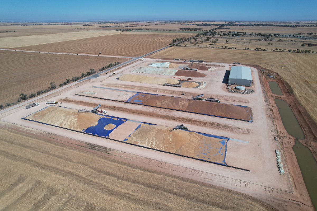 Whilst the 🐎 were racing around in Melbourne, the harvest on the Adelaide Plains is flying along #wheat #barley #lentils