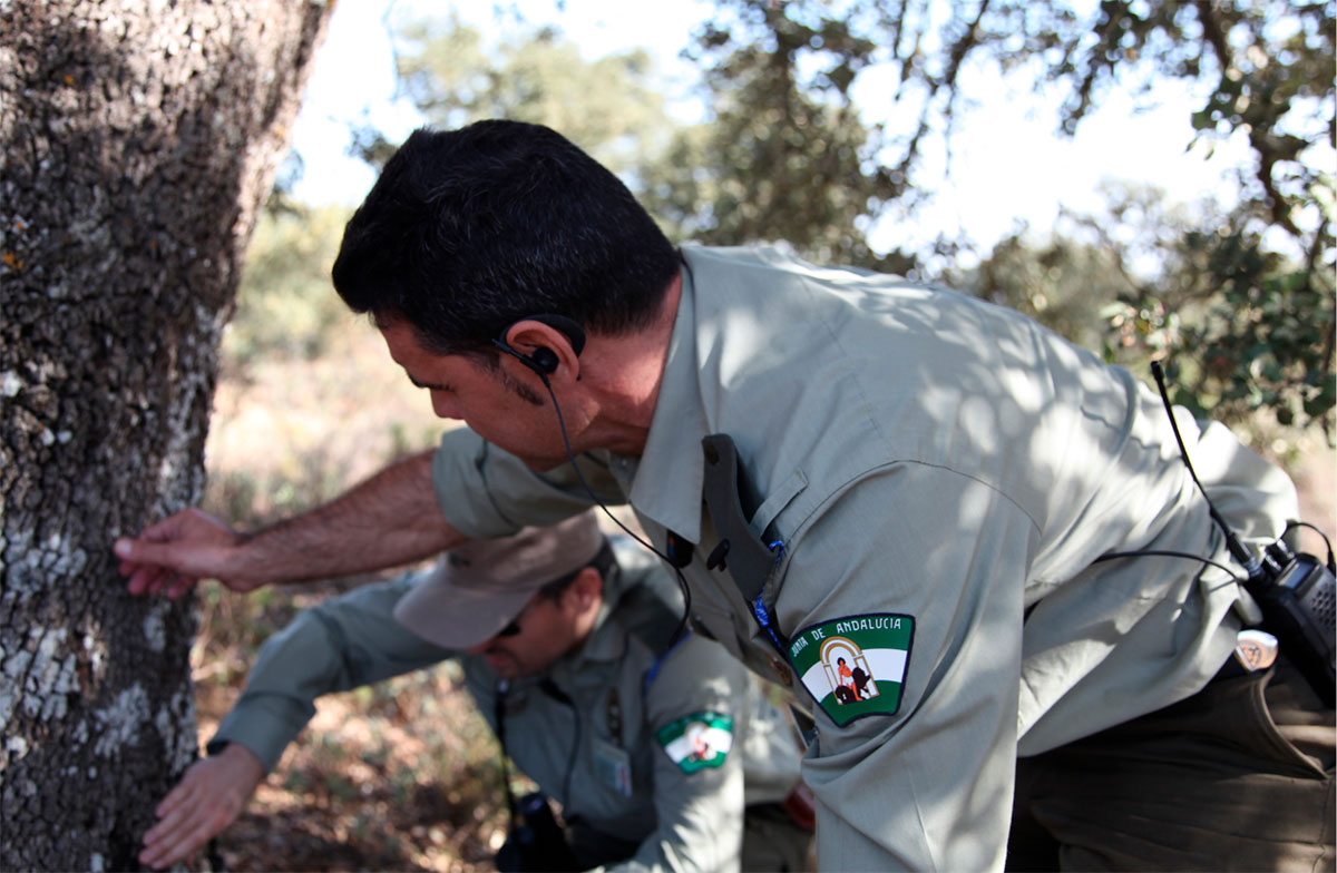 🟠Nuevos cursos de guarda de coto de caza (nuevo acceso y reciclaje)
📍Delegación Provincial de Córdoba
🗓️Plazo de inscripción: 20 de noviembre
Solicitud de inscripción, aquí ⬇️⬇️
fac.es/noticia/nuevos…