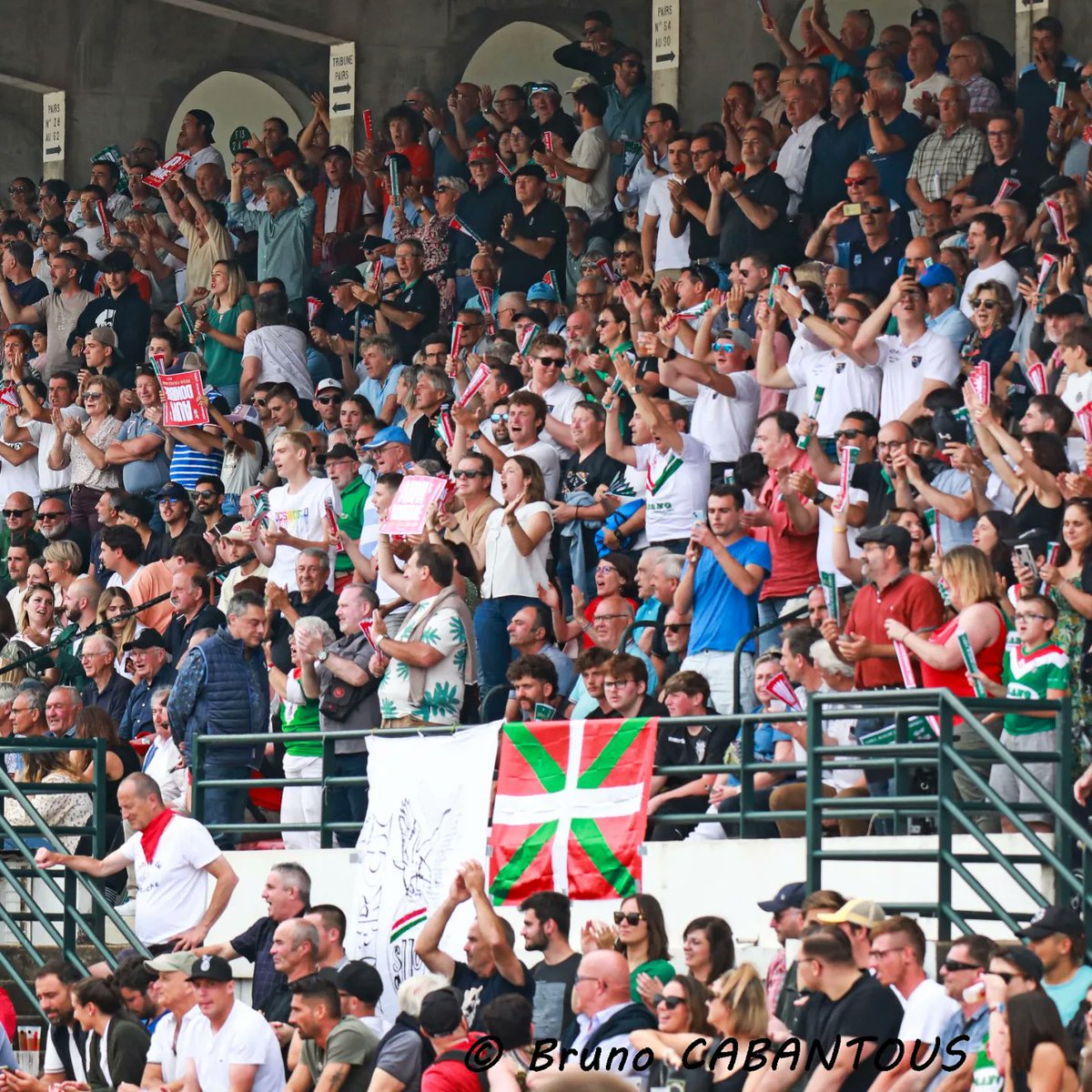 𝑷𝒂𝒔𝒔𝒊𝒐𝒏 𝑳𝒖𝒛𝒊𝒆𝒏𝒏𝒆 😍🦅

© <a href="/BrunoCabantous/">Bruno CABANTOUS</a>