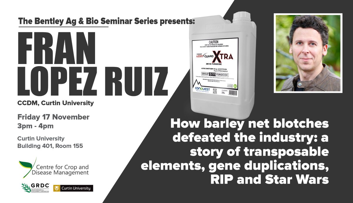j_mylne's tweet photo. At @theCCDM we've strengthened, widened and opened our seminar series #BABSS. If you're on Bentley campus @CurtinUni Friday 17 November, come see our own Fran Lopez Ruiz talk about the complex genetic mechanisms underpinning fungicide resistance by barley net blotch 🗣️📢👂🤔 https://t.co/zDiMH86FgB