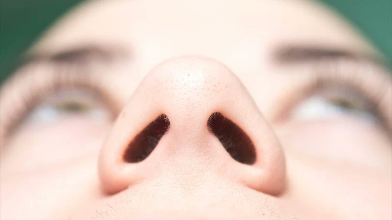 c0ffeedaily's tweet photo. You smell your coffee in stereo: the brain records an odour’s spatial information
https://t.co/BHuHfIFzQl

#coffee #coffeelove #morningcoffee https://t.co/CP3yvBfJmW