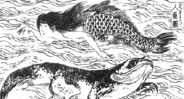 江戸時代の人々が想像していた人魚は、どうやら鯉の身体を持っていたらしい。